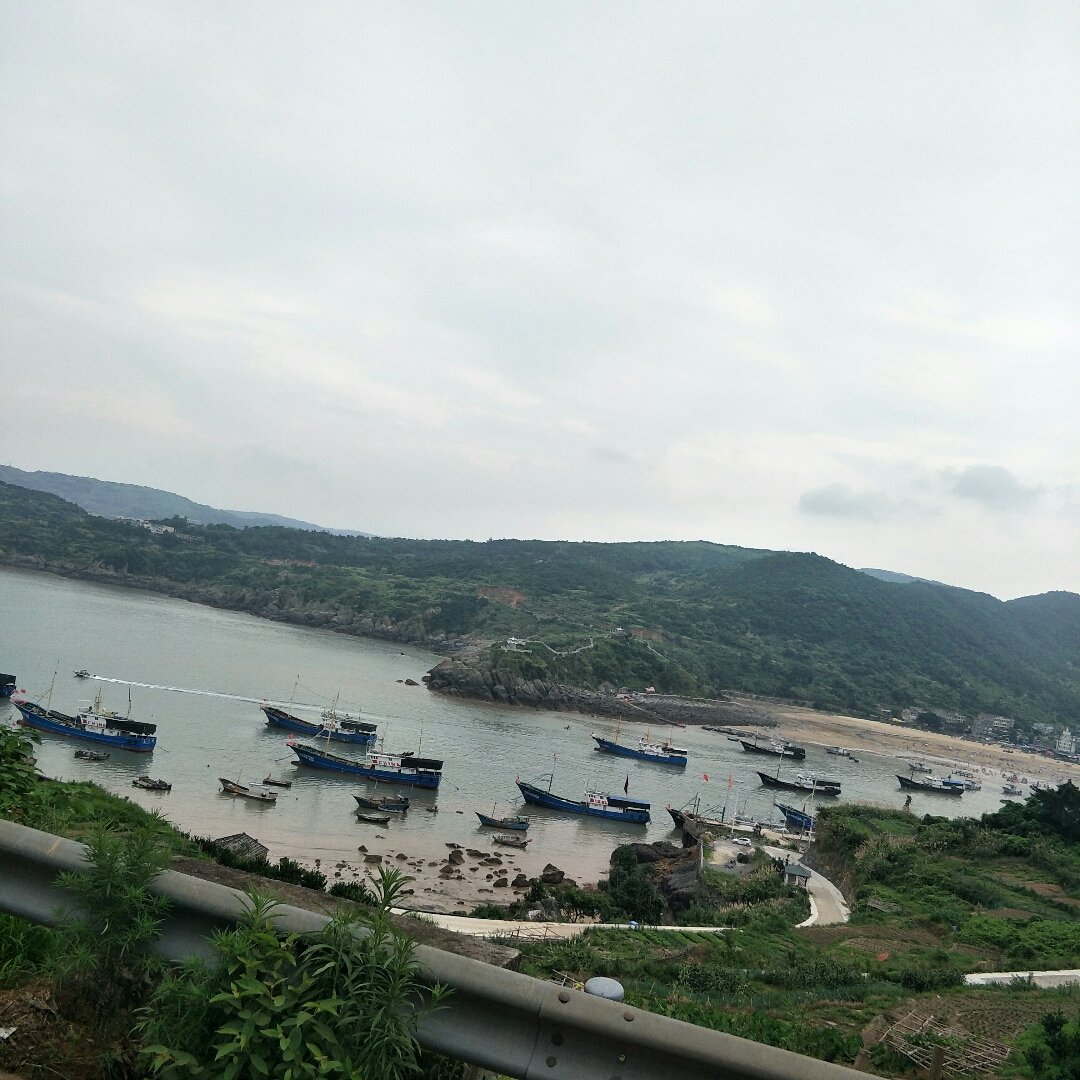 浙江省溫州市蒼南縣馬站鎮(zhèn)龍魁線